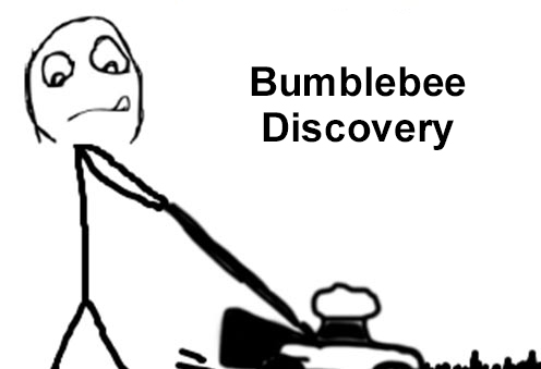 BumbleBee Discovery